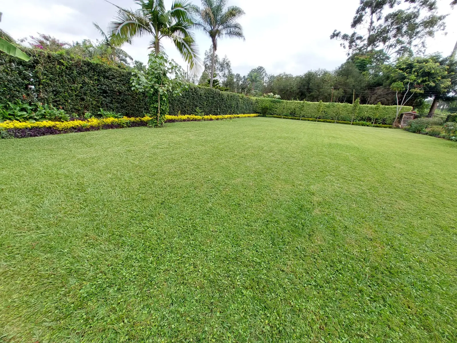 5 bedroom house in Ridgeways